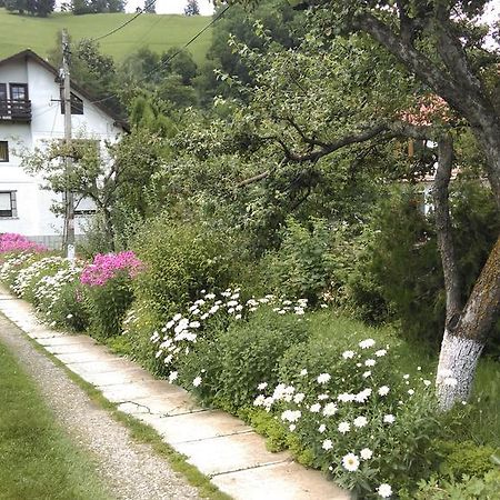Pensiunea Iulia Bran  Exteriör bild